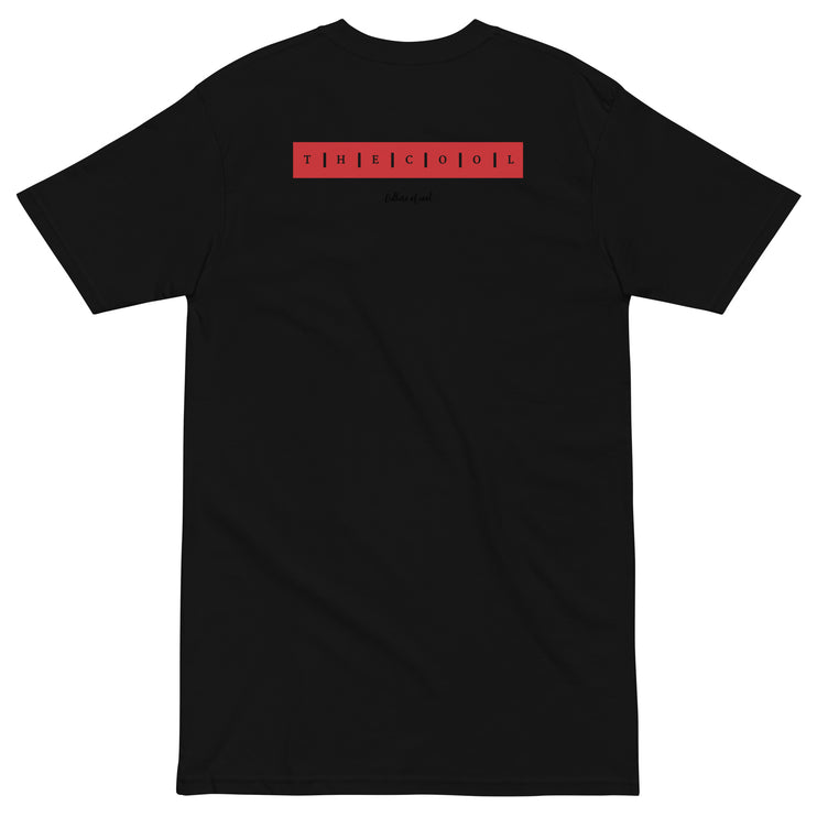 Chicago Icon  premium heavyweight tee